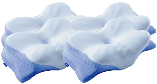 Derila Ergo Pillow two-pack